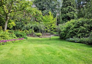 Optimiser l'expérience du jardin à Suzay