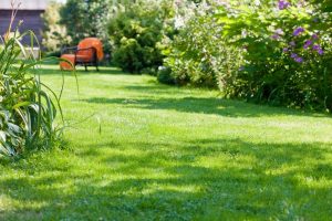 travaux jardin et paysage Suzay